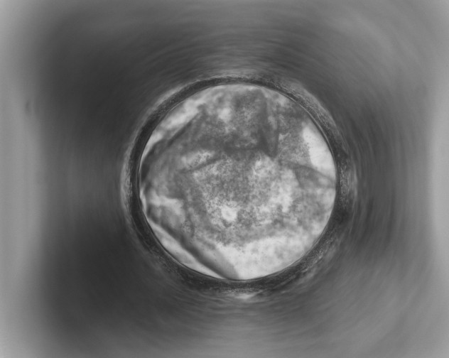 X0000100930628200807221138