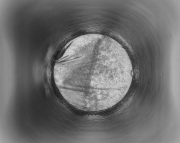 X0000100930637200807221138