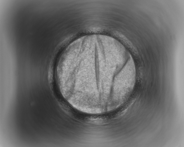 X0000100930640200807221138