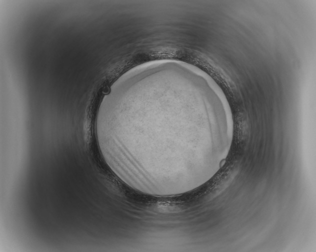 X0000100930641200807221138