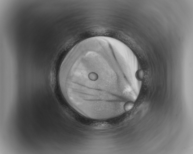 X0000100930642200807221138