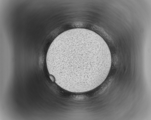 X0000100930645200807221138