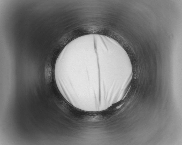 X0000100930646200807221138