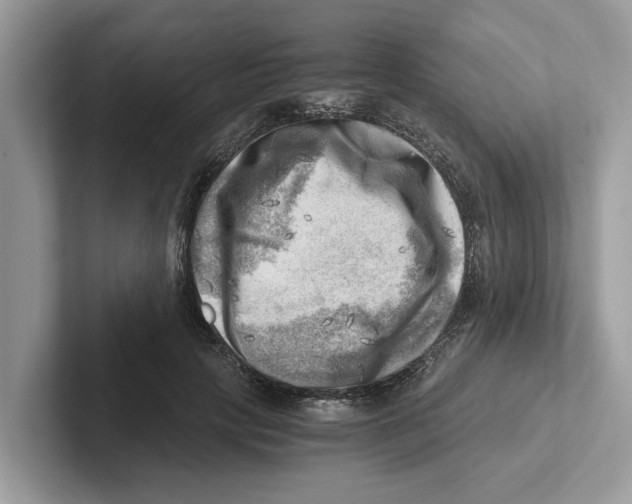 X0000100930649200807221138