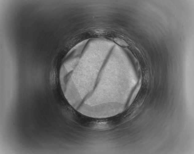 X0000100930651200807221138