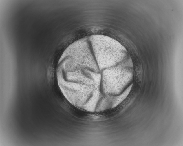 X0000100930654200807221138