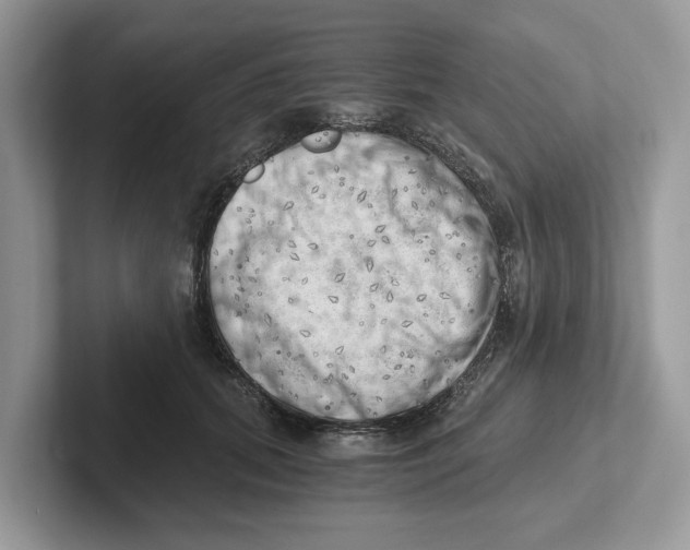 X0000100930655200807221138