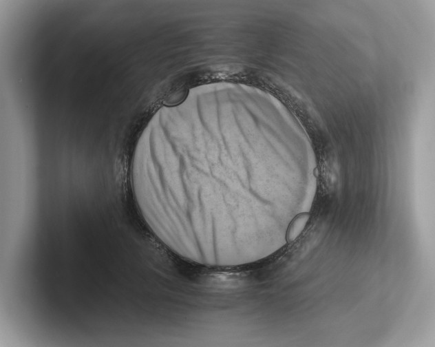 X0000100930657200807221138