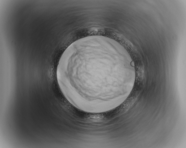 X0000100930659200807221138