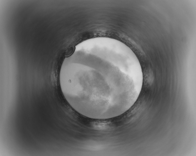 X0000100930661200807221138