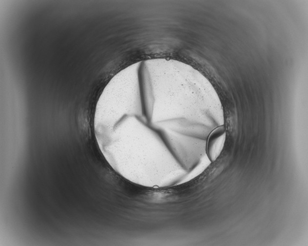 X0000100930662200807221138