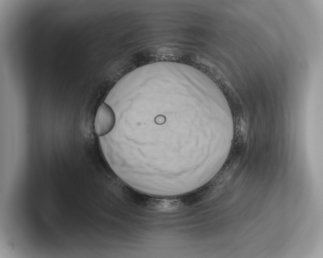 X0000100930663200807221138