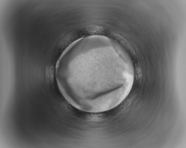 X0000100930664200807221138