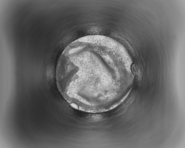 X0000100930665200807221138