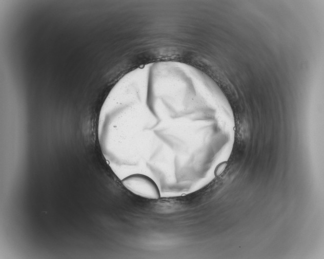 X0000100930666200807221138