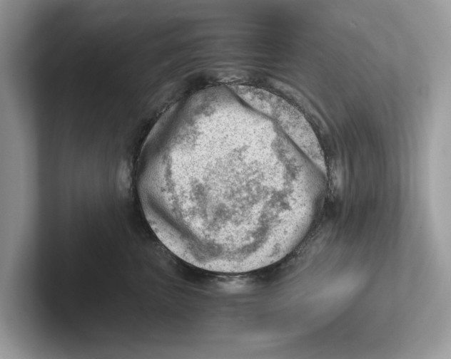 X0000100930667200807221138