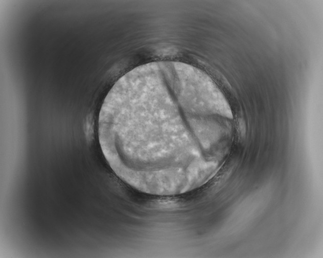 X0000100930668200807221138