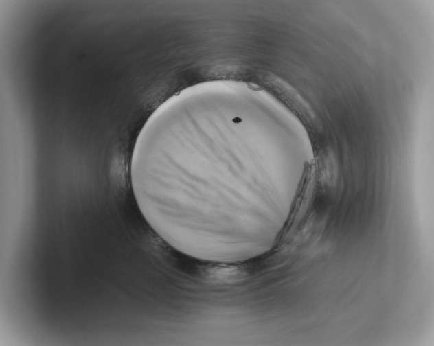 X0000100930669200807221138