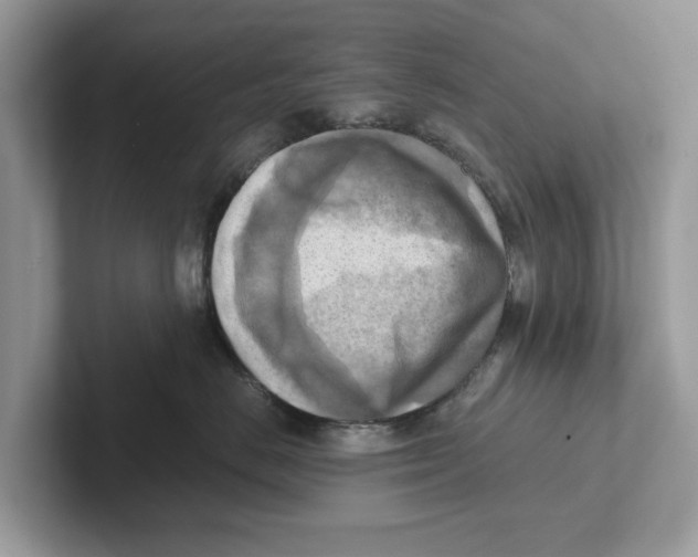 X0000100930670200807221138