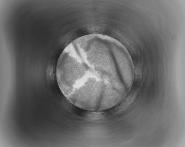 X0000100930671200807221138