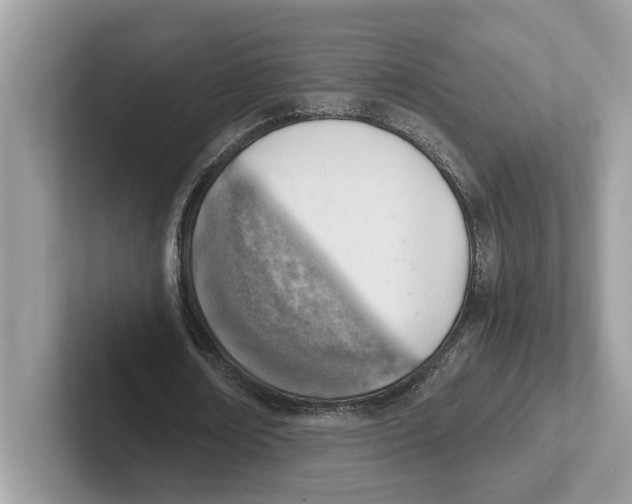 X0000100930674200807221137