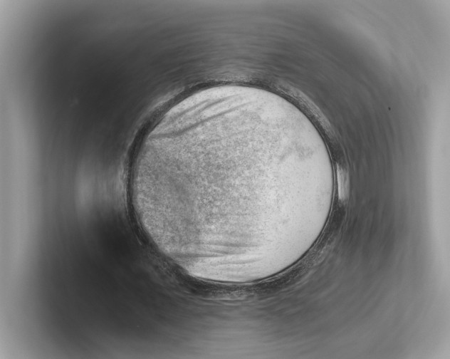 X0000100930675200807221137