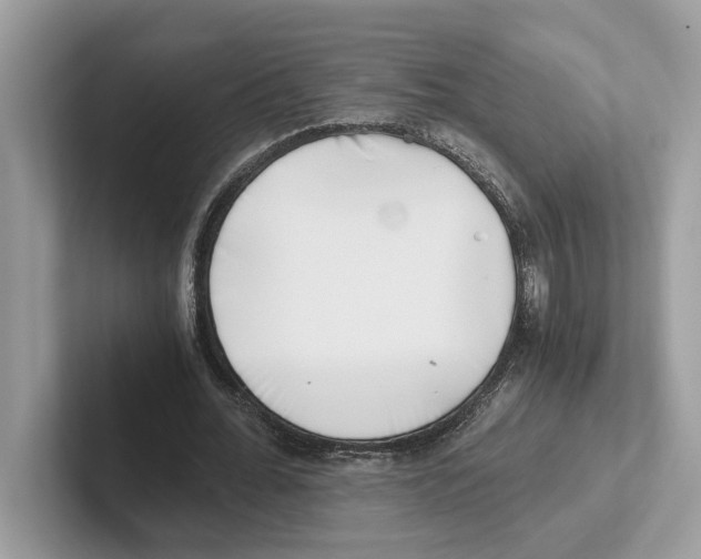 X0000100930676200807221137