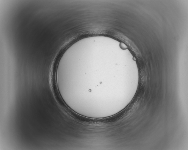 X0000100930677200807221137