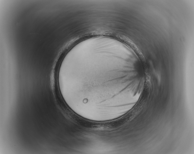 X0000100930678200807221137