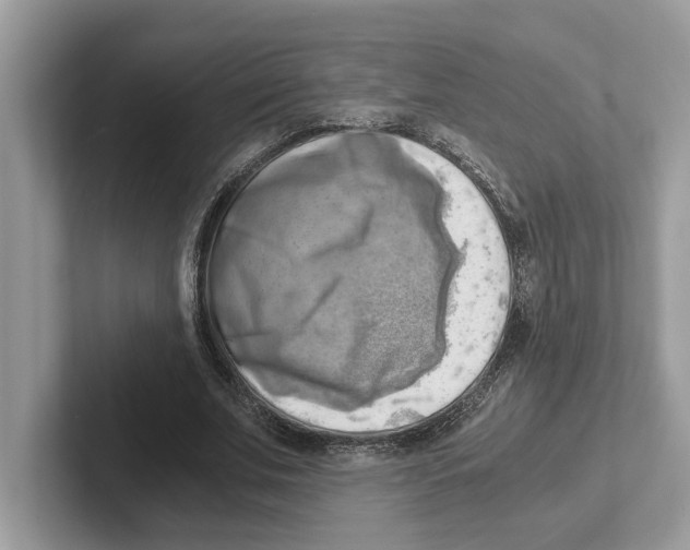 X0000100930679200807221137