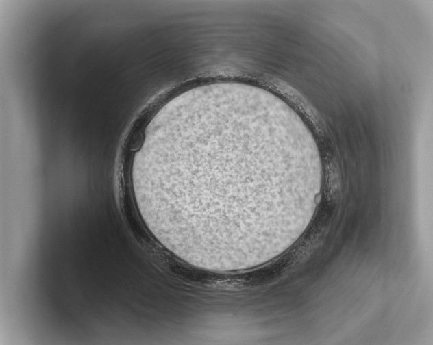 X0000100930680200807221137