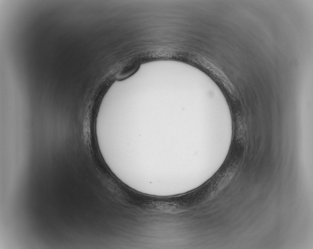 X0000100930681200807221137