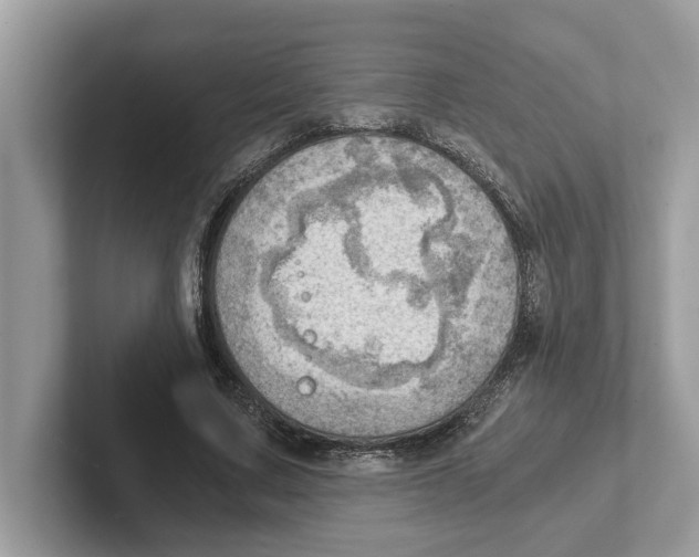 X0000100930683200807221137