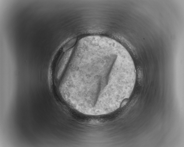 X0000100930684200807221137