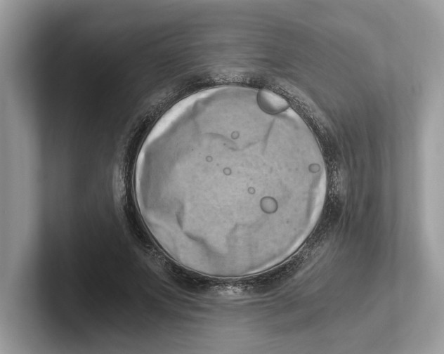 X0000100930687200807221137