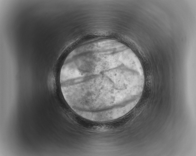 X0000100930688200807221137