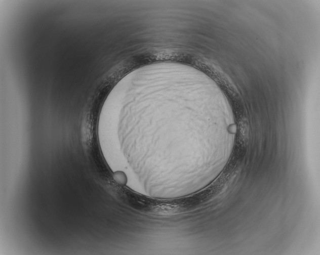 X0000100930691200807221137