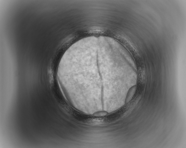 X0000100930692200807221137