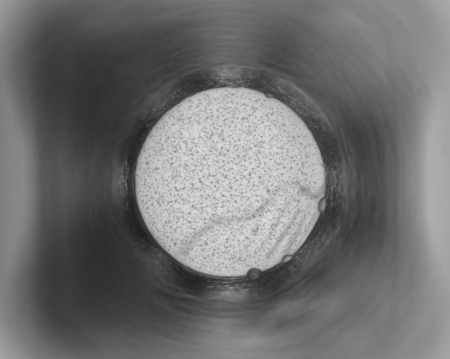 X0000100930702200807221137