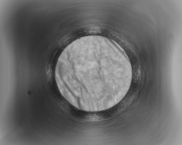 X0000100930704200807221137