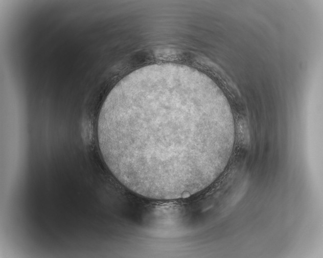 X0000100930705200807221137