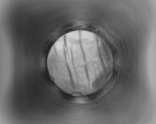 X0000100930708200807221137