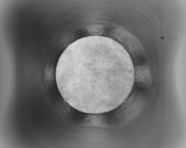 X0000100930713200807221137