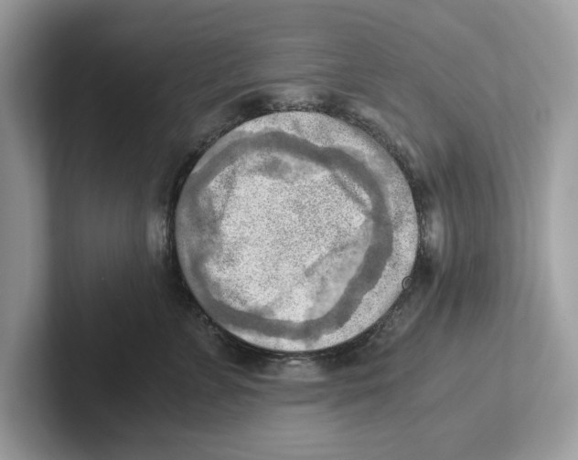 X0000100930715200807221137