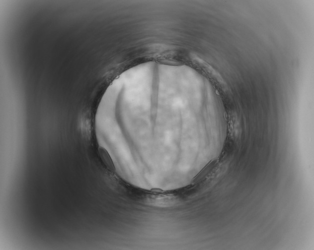 X0000100930716200807221137