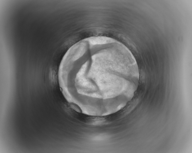 X0000100930719200807221137