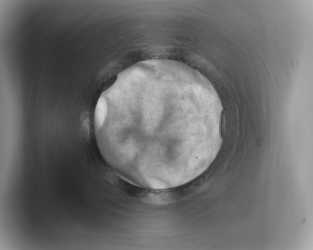 X0000100930720200807221137