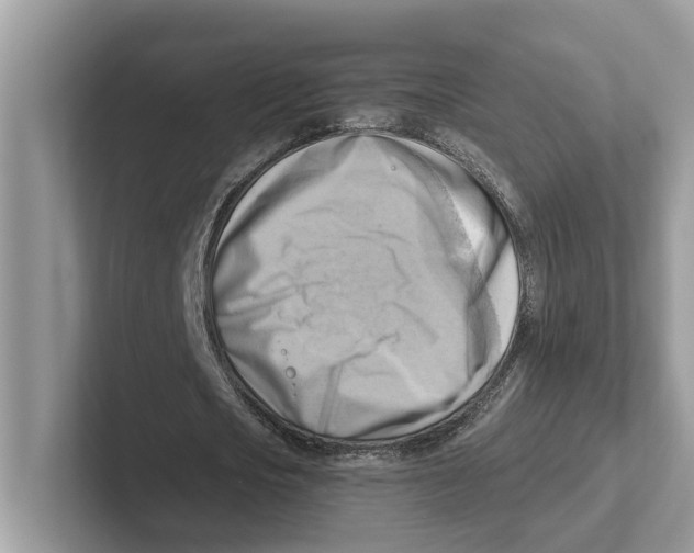 X0000100930721200807221136