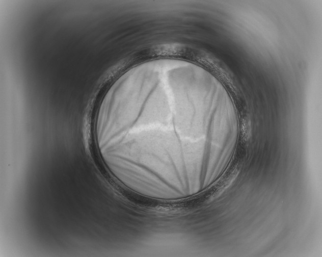 X0000100930725200807221136