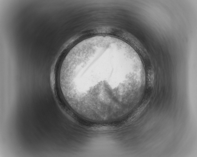 X0000100930726200807221136